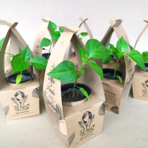 rekomendasi-souvenir-reuni